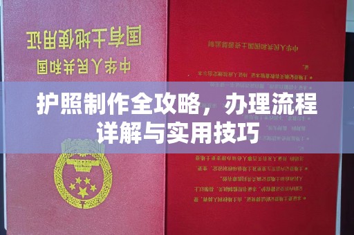 贵阳护照制作全攻略，办理流程详解与实用技巧